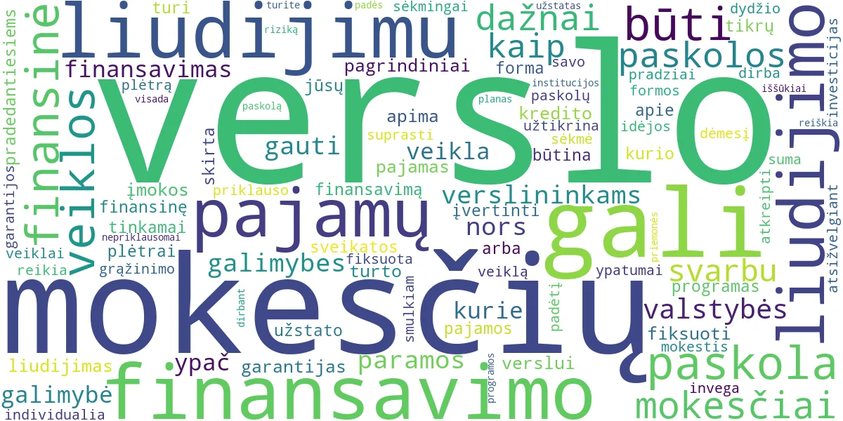 Word cloud for article: Verslo Finansavimas ir Mokesčiai: Paskolos ir Liudijimo Ypatumai