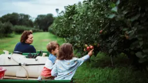 Mažiems ūkiams siūloma apie 98 eurus: šeimos ūkininkai piktinasi