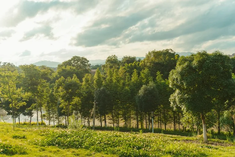 Tauragėje – nemokama konferencija apie tvarų regionų augimą spalio 20-ąją