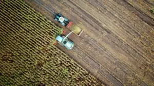 Ūkininkų parama siekia 19,6 mln. eurų: ŽŪR ginčija ribas