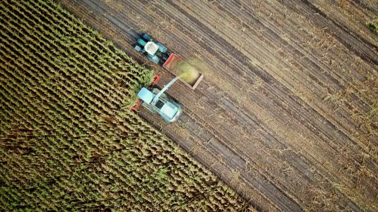 Ūkininkų parama siekia 19,6 mln. eurų: ŽŪR ginčija ribas